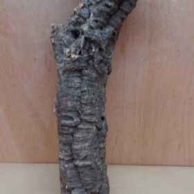Small Cork Tube - 40-60cm - 3