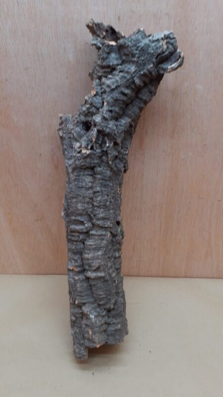 Small Cork Tube - 40-60cm - 3