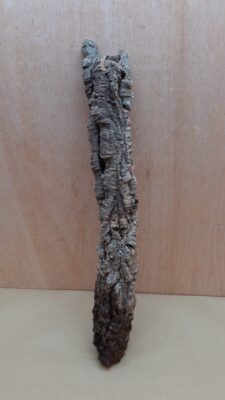 Small Cork Tube - 40-60cm - 15
