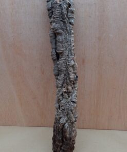 Small Cork Tube - 40-60cm - 15