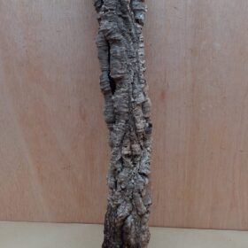 Small Cork Tube - 40-60cm - 15