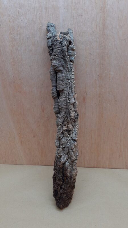 Small Cork Tube - 40-60cm - 15
