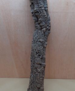 Small Cork Tube - 60-80cm - 2