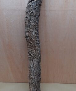 Small Cork Tube - 60-80cm - 4