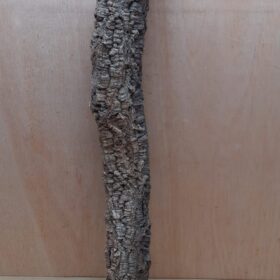 Small Cork Tube - 60-80cm - 4
