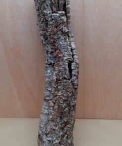 Small Cork Tube - 60-80cm - 6
