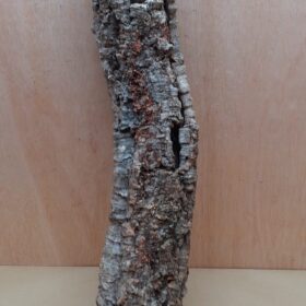 Small Cork Tube - 60-80cm - 6
