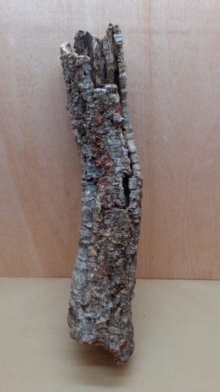 Small Cork Tube - 60-80cm - 6