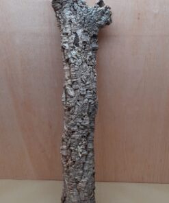 Small Cork Tube - 60-80cm - 11