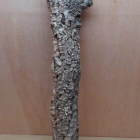Small Cork Tube - 60-80cm - 11