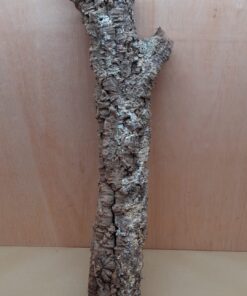Small Cork Tube - 60-80cm - 12