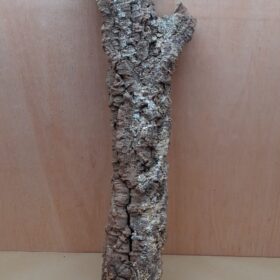 Small Cork Tube - 60-80cm - 12