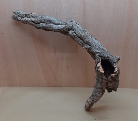 Small Cork Tube - 60-80cm - 16