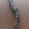 Small Cork Tube - 60-80cm - 19