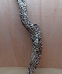 Small Cork Tube - 60-80cm - 19