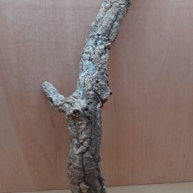Small Cork Tube - 60-80cm - 20
