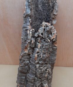 Medium Cork Tube - 40-60cm - 1