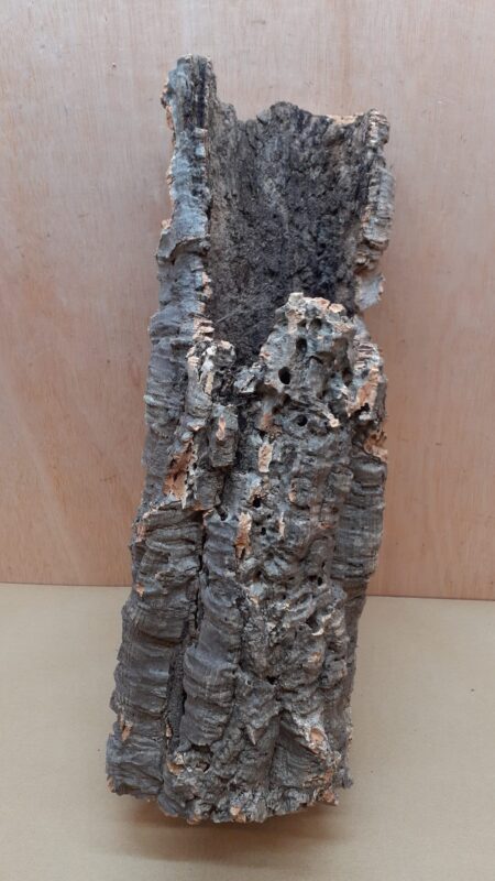 Medium Cork Tube - 40-60cm - 1