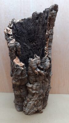 Medium Cork Tube - 40-60cm - 3