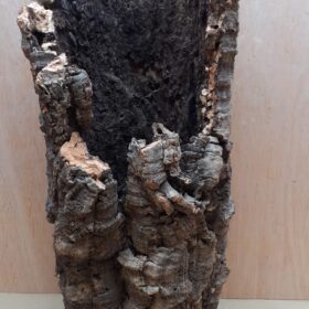 Medium Cork Tube - 40-60cm - 3