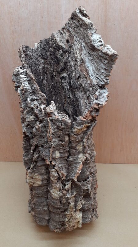 Medium Cork Tube - 40-60cm - 7
