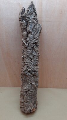 Medium Cork Tube - 60-80cm - 11