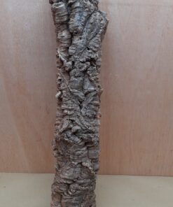 Medium Cork Tube - 60-80cm - 11