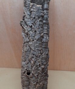 Medium Cork Tube - 60-80cm - 16