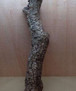 Medium Cork Tube - 80-110cm - 1