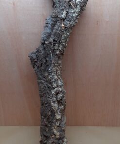 Medium Cork Tube - 80-110cm - 3