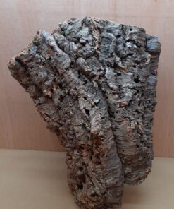 Large Cork Tube - 40-60cm - 1