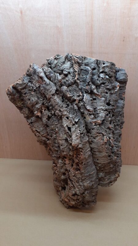 Large Cork Tube - 40-60cm - 1