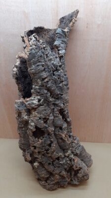 Large Cork Tube - 60-80cm - 3