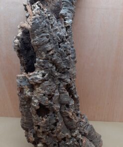Large Cork Tube - 60-80cm - 3