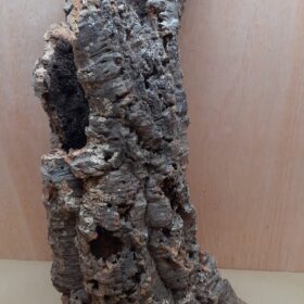 Large Cork Tube - 60-80cm - 3