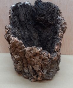 Large Cork Tube - Upto 40cm - 4