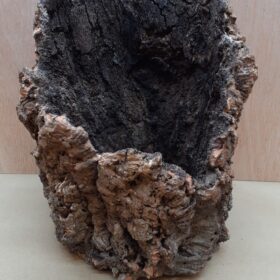 Large Cork Tube - Upto 40cm - 4