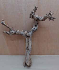 Sandblasted Grapevine - Medium 3