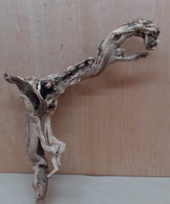 Sandblasted Grapevine - Medium 5