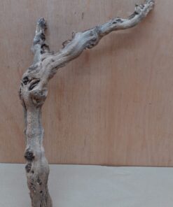 Sandblasted Grapevine - Medium 7