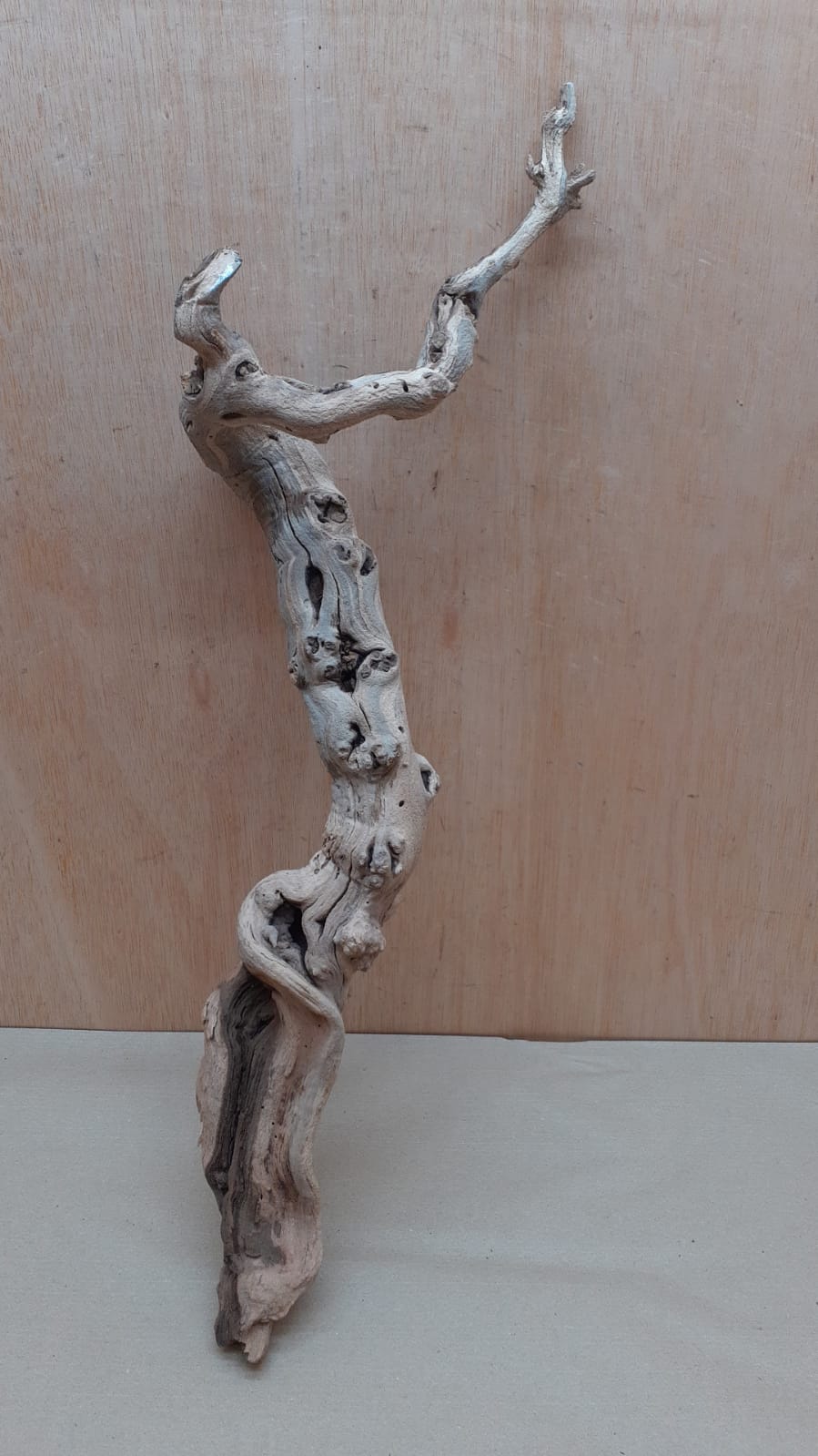 Sandblasted Grapevine - Medium 9