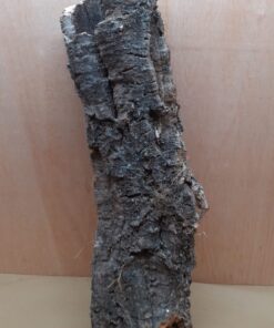 Large Cork Tube - 60-80cm - 5