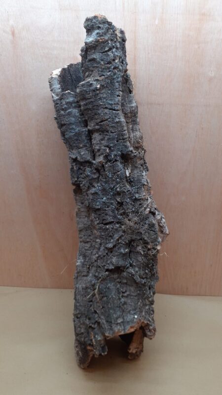 Large Cork Tube - 60-80cm - 5