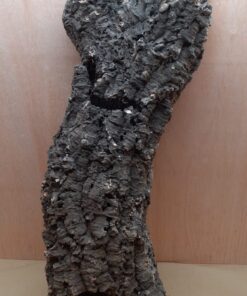 Large Cork Tube - 60-80cm - 6