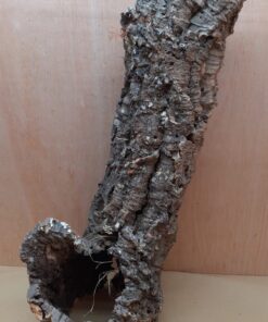 Large Cork Tube - 60-80cm - 7
