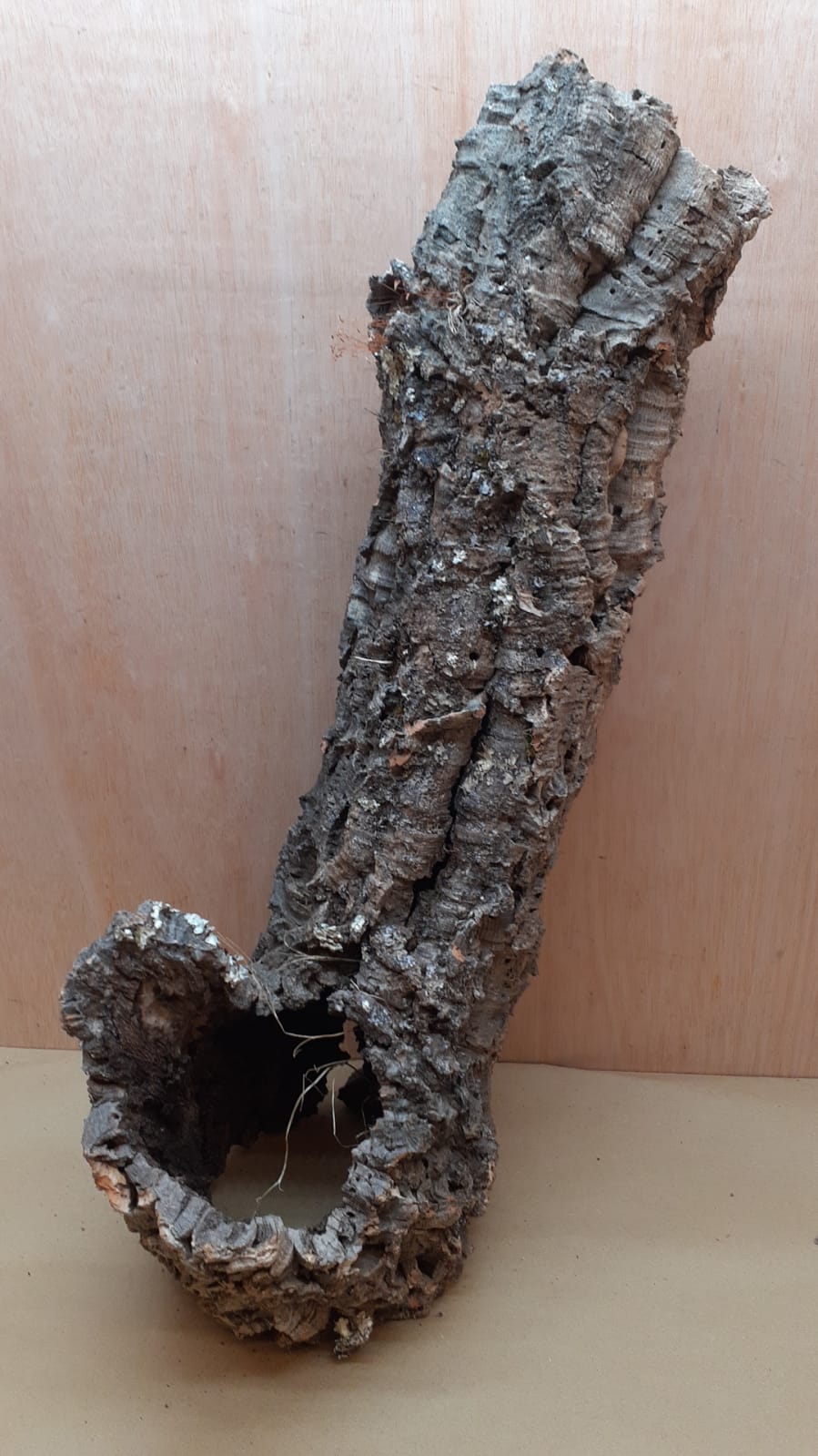 Large Cork Tube - 60-80cm - 7