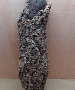 Large Cork Tube - 60-80cm - 10