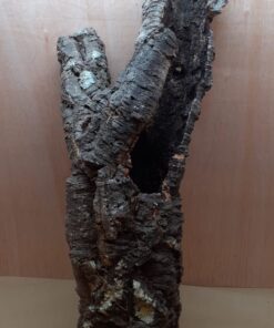Large Cork Tube - 80-110cm - 1