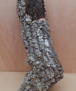 Medium Cork Tube - 40-60cm - 1