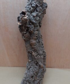 Medium Cork Tube - 40-60cm - 10
